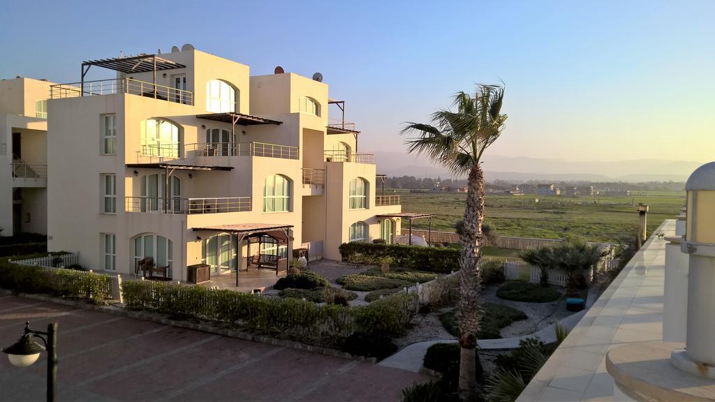 Aphrodite Beachfront Penthouse Apartment Ghaziveran Exterior photo